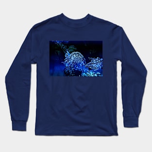 Treasure on the Seabed Long Sleeve T-Shirt